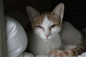 Romina Bild von Romina