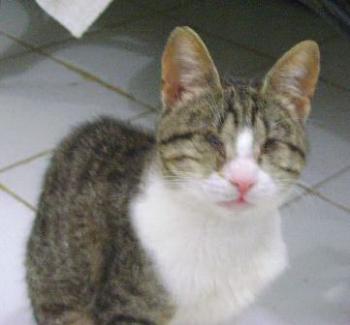 Bild von Hope