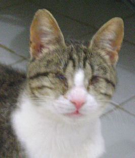 Bild von Hope