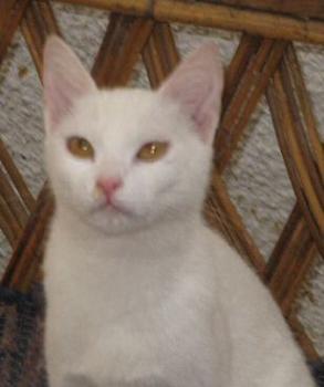 Bianca Bild von Bianca