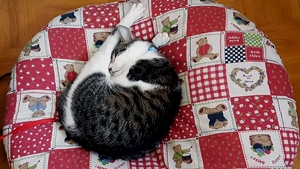 Clarita Bild von Clarita