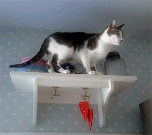 Clarita Bild von Clarita