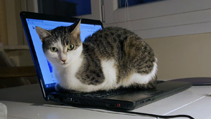 Clarita Bild von Clarita