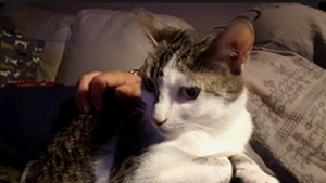 Clarita Bild von Clarita