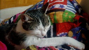 Clarita Bild von Clarita