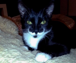 Deisy Bild von Deisy