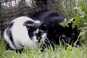 Sabrina Bild von Sabrina