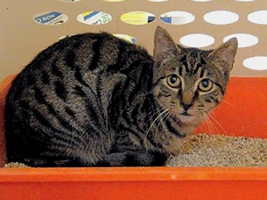 Rimel Bild von Rimel