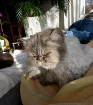 Zuko Bild von Zuko