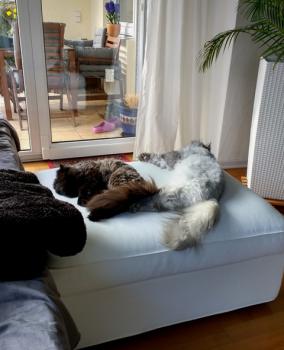 Zuko Bild von Zuko