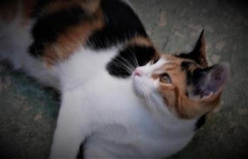 Neele Bild von Neele