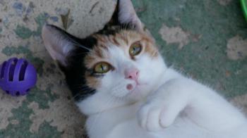 Neele Bild von Neele