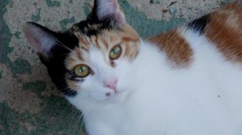 Neele Bild von Neele