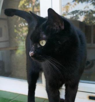 Coddy Bild von Coddy