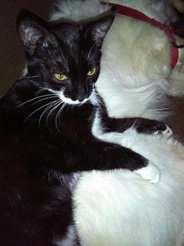 Deisy Bild von Deisy