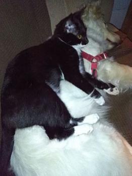 Deisy Bild von Deisy