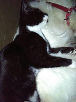 Deisy Bild von Deisy