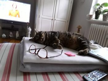 Starbuck Bild von Starbuck