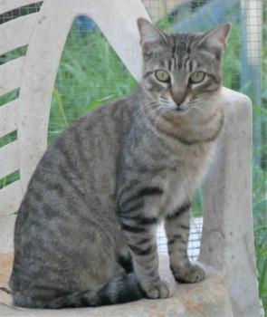 Phelina Bild von Phelina