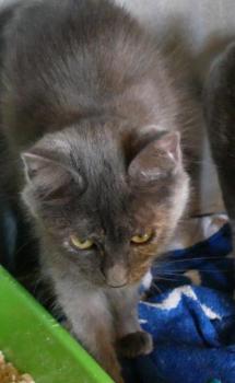 Aliza Bild von Aliza