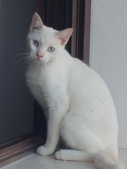 Sunny Bild von Sunny