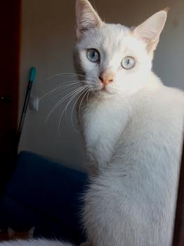 Sunny Bild von Sunny