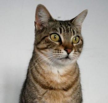 Phelina Bild von Phelina