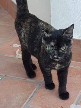 Piruleta Bild von Piruleta