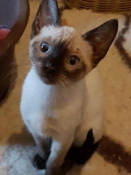 Chloe Bild von Chloe