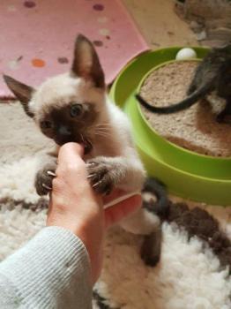 Chloe Bild von Chloe