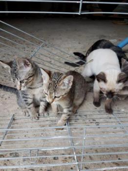 Chloe Bild von Chloe