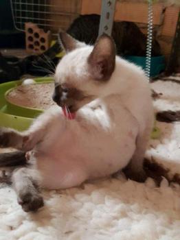 Chloe Bild von Chloe