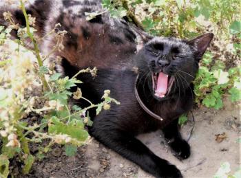 Thabo Bild von Thabo