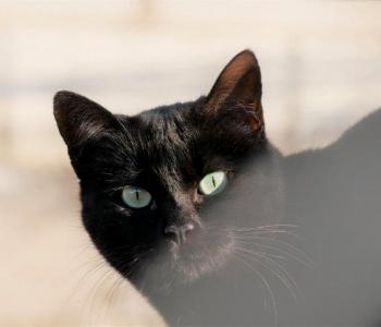 Thabo Bild von Thabo