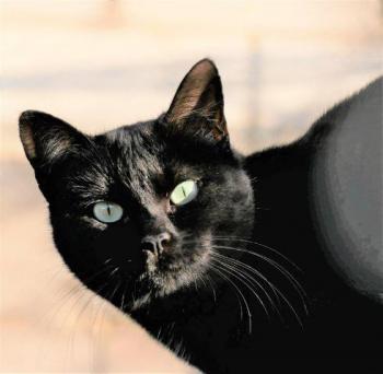 Thabo Bild von Thabo