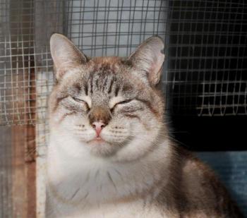 Soli Bild von Soli