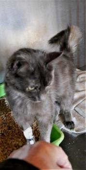 Aliza Bild von Aliza