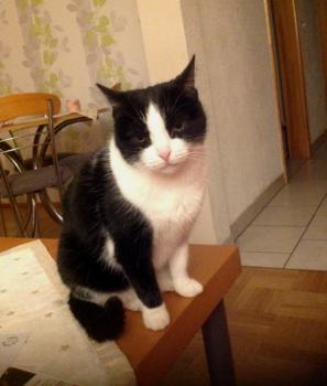 Agata Bild von Agata