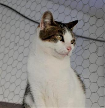 Pequita Bild von Pequita