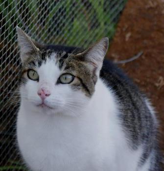 Pequita Bild von Pequita