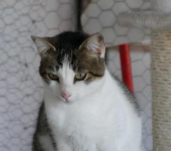 Pequita Bild von Pequita