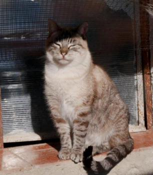 Soli Bild von Soli