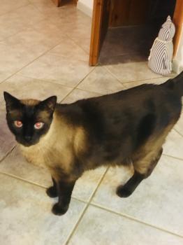Riki Bild von Riki