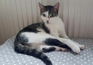 Clarita Bild von Clarita