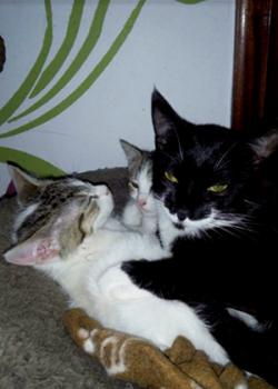 Deisy Bild von Deisy