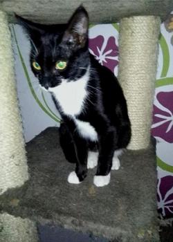 Deisy Bild von Deisy