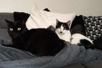 Fienchen Bild von Fienchen