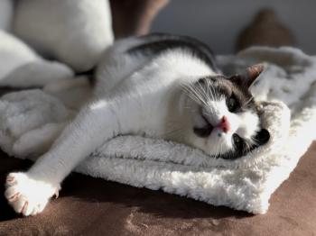Jacky Bild von Jacky