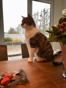 Jukka Bild von Jukka