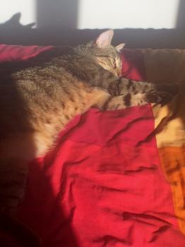 Lenny Bild von Lenny